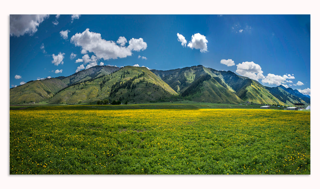 Wyoming Spring