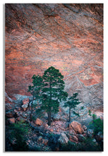 Load image into Gallery viewer, Garden of the Gods 2
